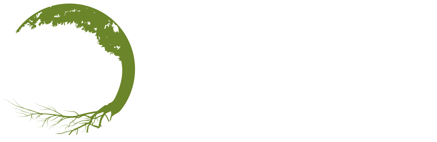 XP Tree Care - XP Treecare - XPTREECARE - Peter Vergote boomverzorging snoeien vellen
