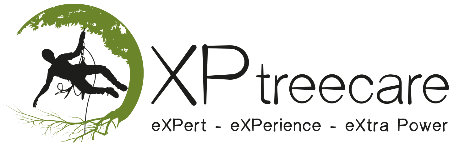 XP Tree Care - XP Treecare - XPTREECARE - Peter Vergote boomverzorging snoeien vellen XP Tree Care - XP Treecare - XPTREECARE - Peter Vergote boomverzorging snoeien vellen