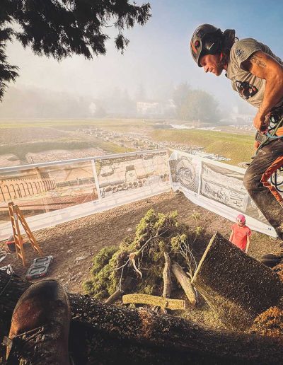 Peter Vergote XPTreecare Expert Advies Begeleiding Boomverzorging snoeien vellen Duurzaam klimtechniek VetCert