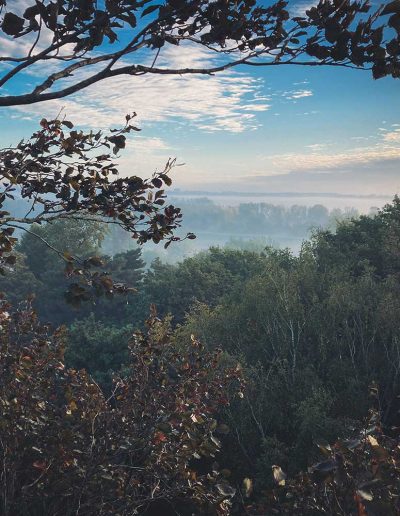 Peter Vergote XPTreecare Expert Advies Begeleiding Boomverzorging snoeien vellen Duurzaam klimtechniek VetCert