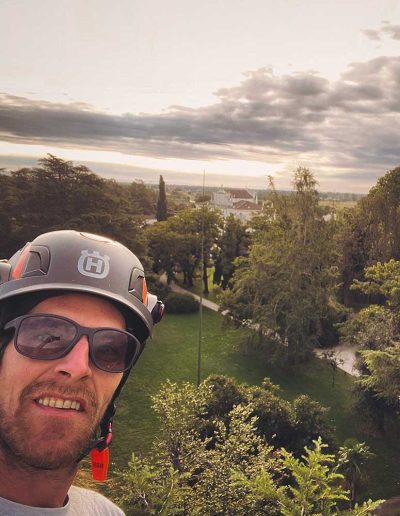 Peter Vergote XPTreecare Expert Advies Begeleiding Boomverzorging snoeien vellen Duurzaam klimtechniek VetCert