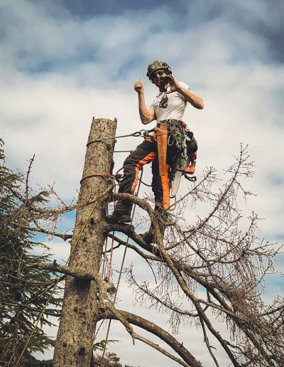 Peter Vergote XPTreecare Expert Advies Begeleiding Boomverzorging snoeien vellen Duurzaam klimtechniek VetCert