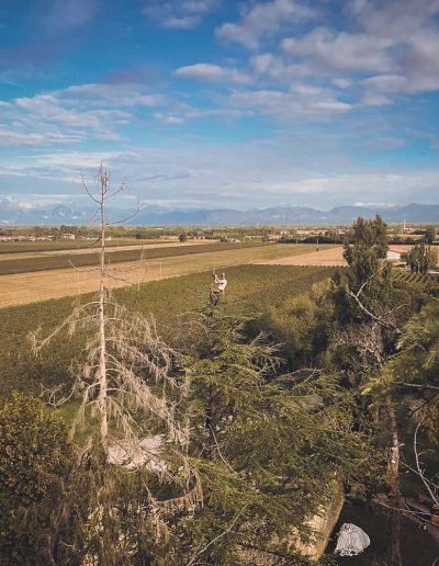 Peter Vergote XPTreecare Expert Advies Begeleiding Boomverzorging snoeien vellen Duurzaam klimtechniek VetCert