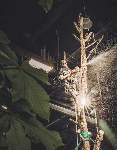 Peter Vergote XPTreecare Expert Advies Begeleiding Boomverzorging snoeien vellen Duurzaam klimtechniek VetCert