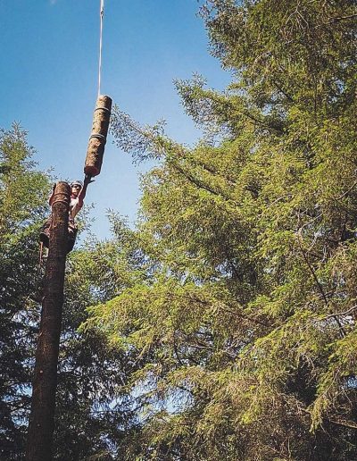 Peter Vergote XPTreecare Expert Advies Begeleiding Boomverzorging snoeien vellen Duurzaam klimtechniek VetCert