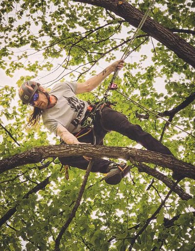 Peter Vergote XPTreecare Expert Advies Begeleiding Boomverzorging snoeien vellen Duurzaam klimtechniek VetCert