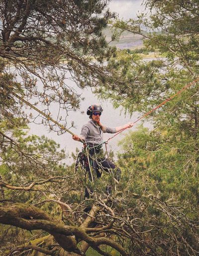 Peter Vergote XPTreecare Expert Advies Begeleiding Boomverzorging snoeien vellen Duurzaam klimtechniek VetCert