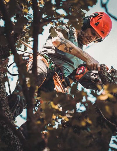 Peter Vergote XPTreecare Expert Advies Begeleiding Boomverzorging snoeien vellen Duurzaam klimtechniek VetCert